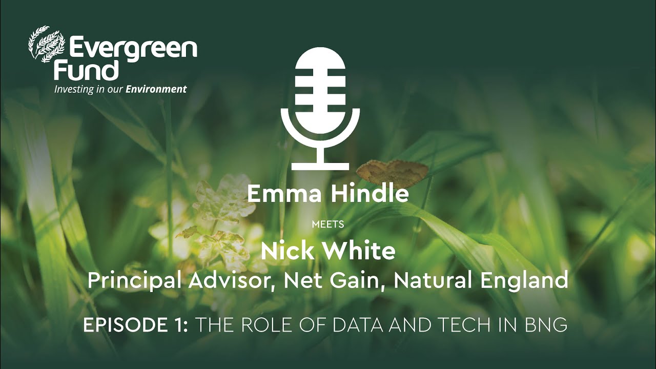 Drones, AI, and data are changing how we protect nature, but how?