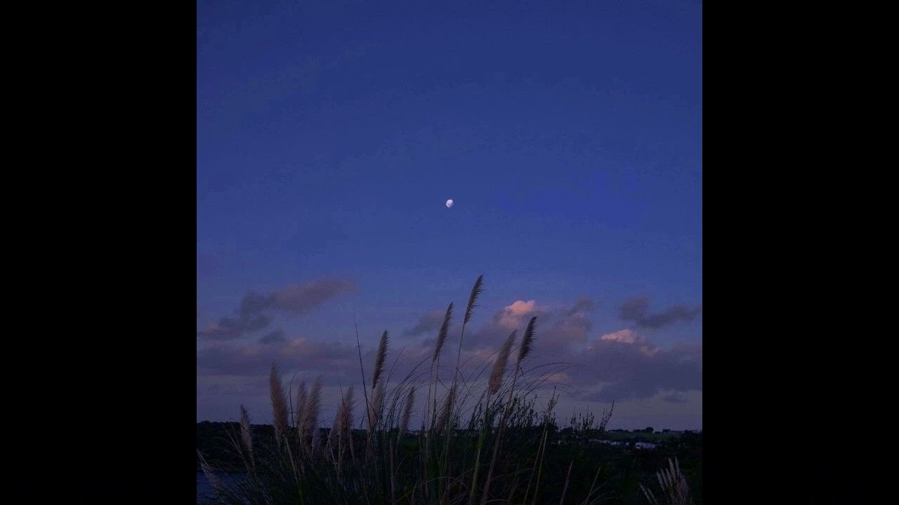 Bon Iver / Indie Folk Type Beat - 