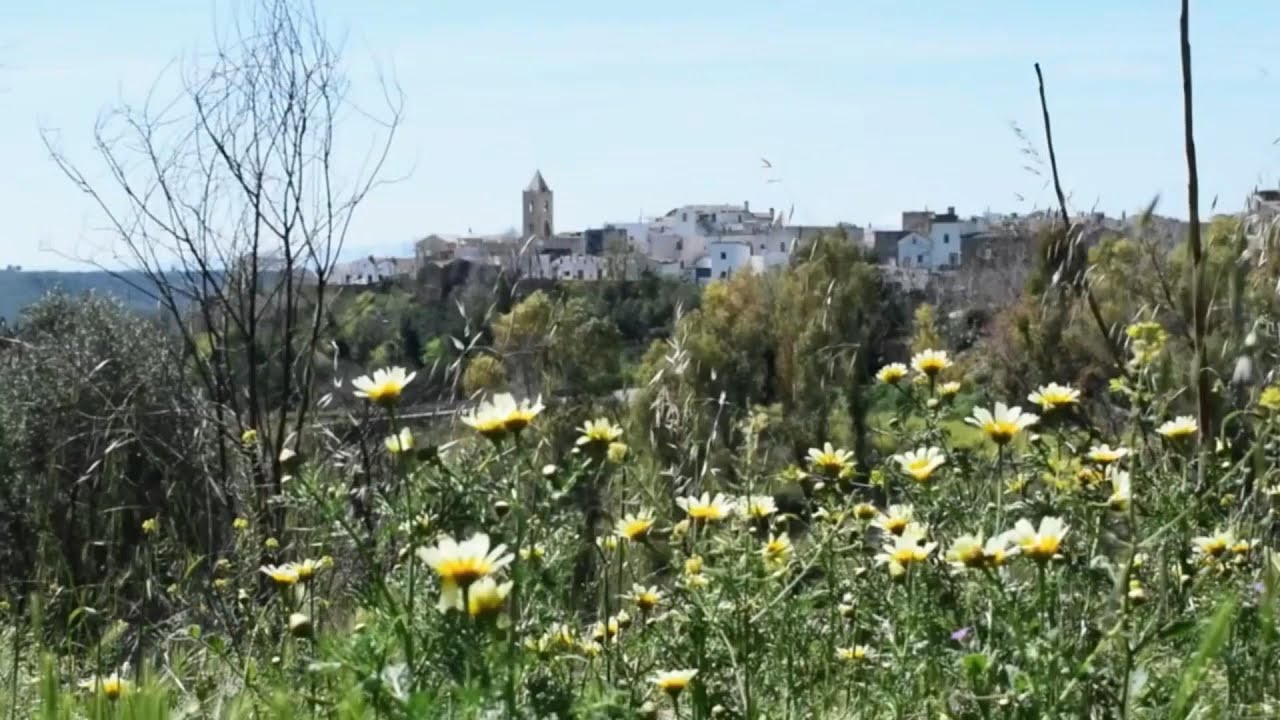DISCOVER THE HEART OF BASILICATA - VISIT BERNALDA & METAPONTO