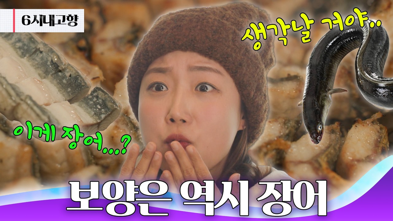국내산 민물장어로 건강 충전! 전남 나주시 민물장어 🐟｜260203 6시 내고향