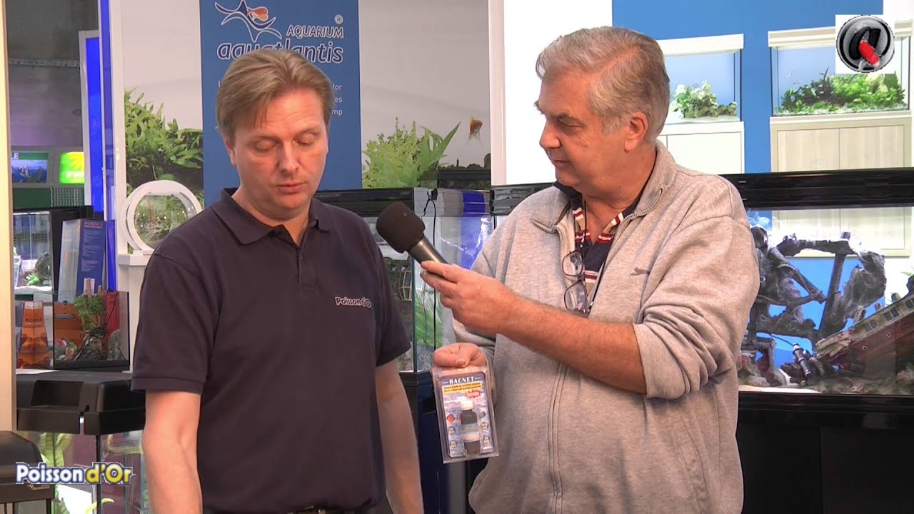 Tutoriel Comme créer son premier aquarium d'eau douce