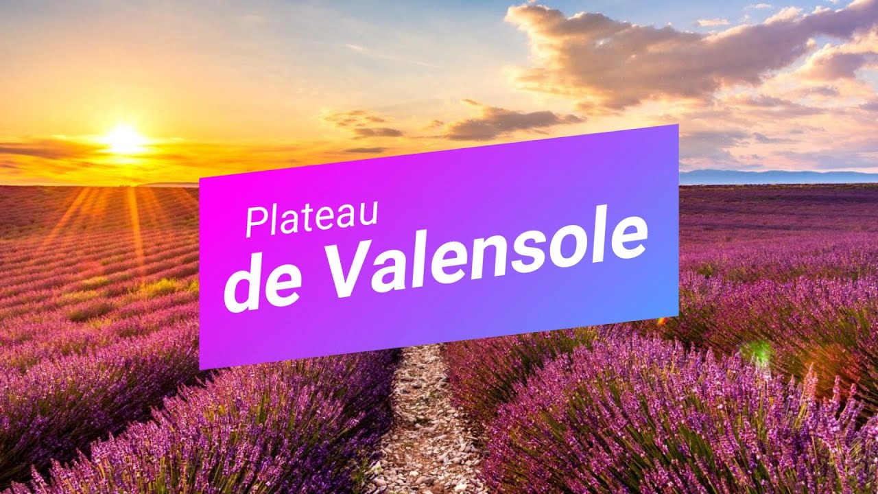 Plateau Valensole