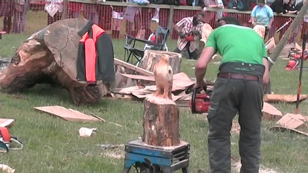 Barbara & Alan record Speed Chainsaw Carvings at Woodfest Wales June 2009