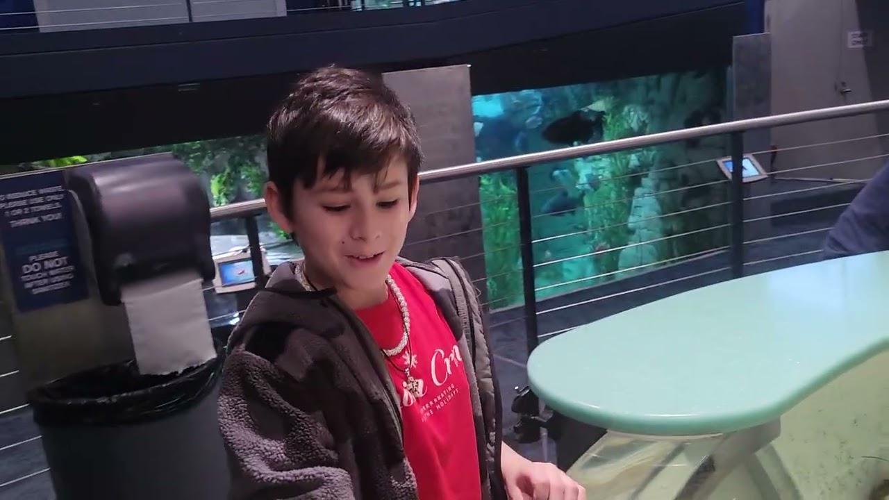 Touching a stingray with Vicky