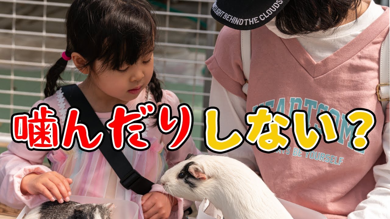 3人姉弟一緒に初動物園！春休みの大冒険をしてみました