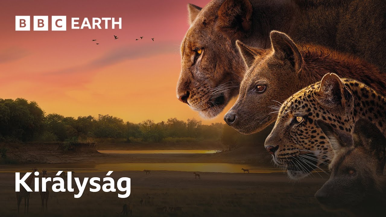 Királyság – Új természetfilm‑sorozat | Csütörtök 21:00 | BBC Earth