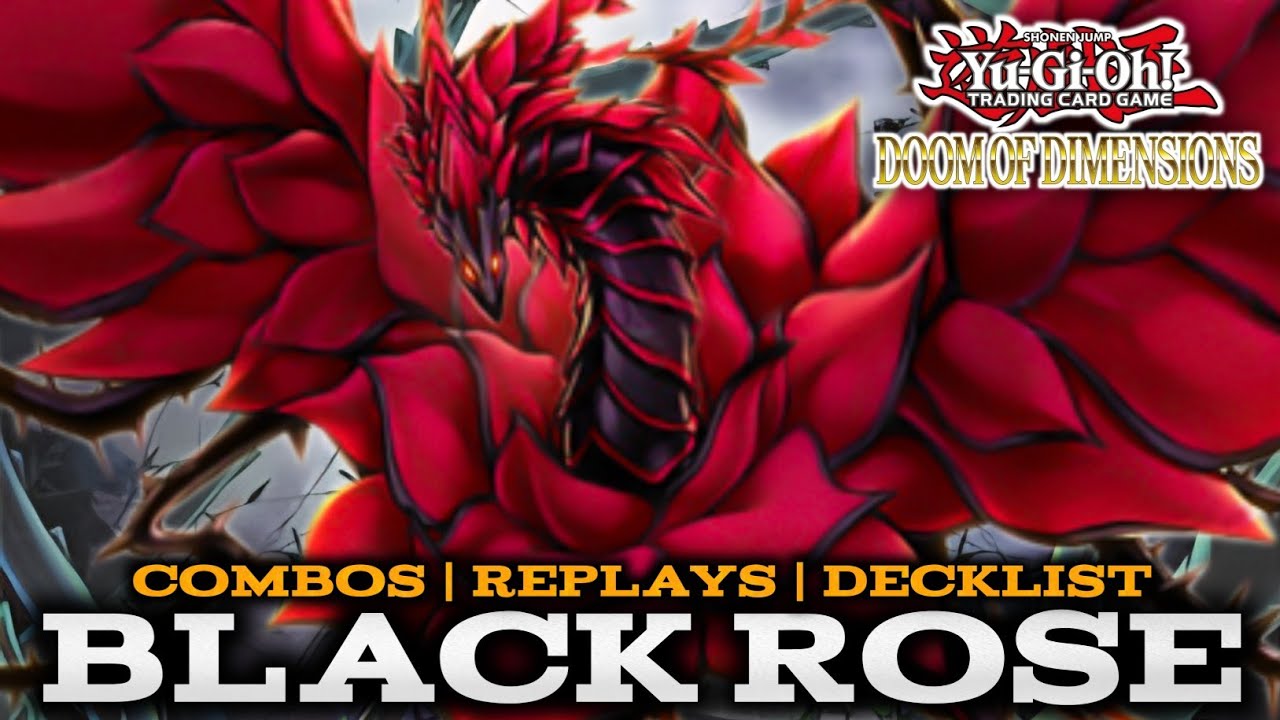 BLACK ROSE - COMBOS | REPLAYS | DECKLIST (Doom of Dimensions)