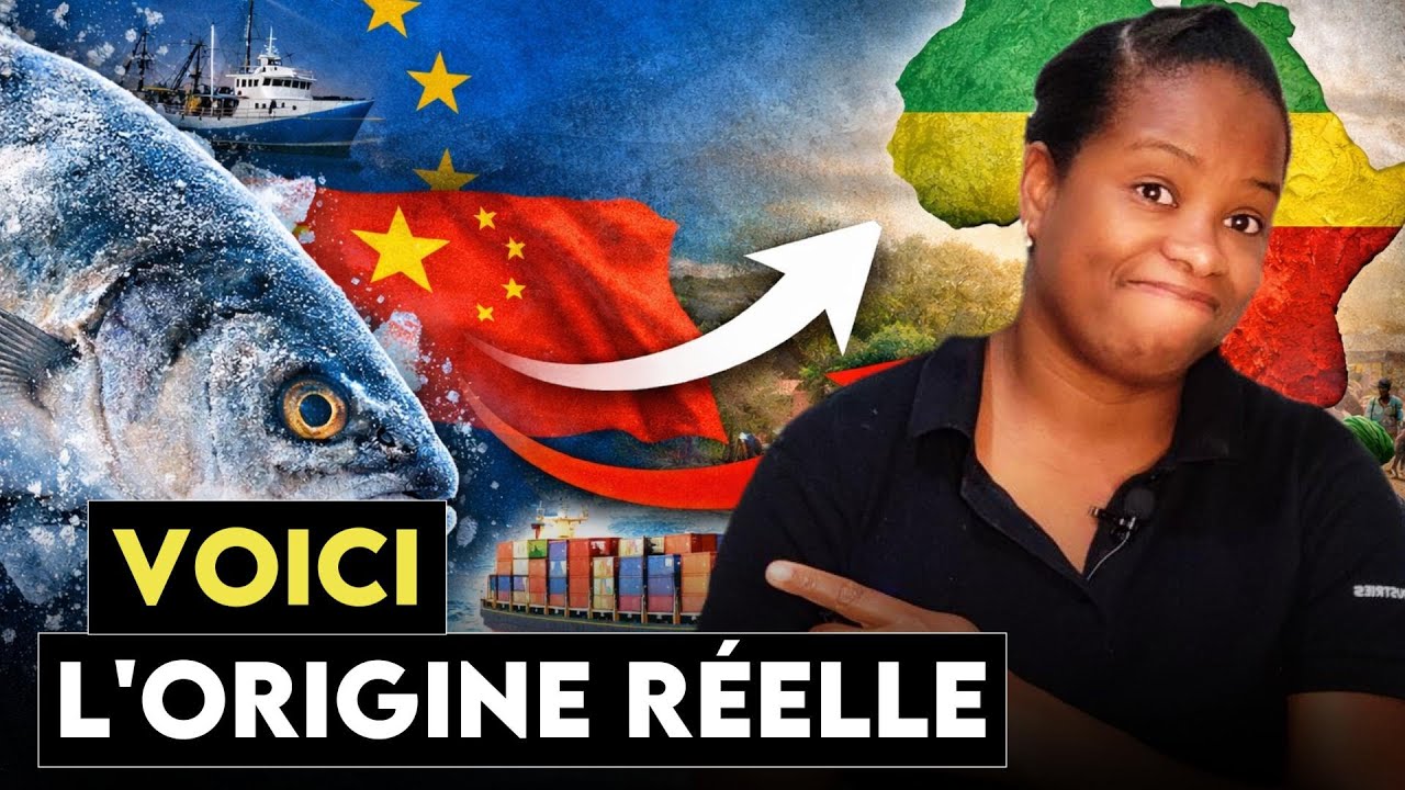 Voici l’origine réelle des poissons que mangent les Africains!