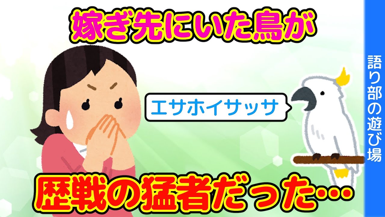 【2chほのぼの】嫁ぎ先にいる鳥の年齢が衝撃的だった…【ゆっくり】
