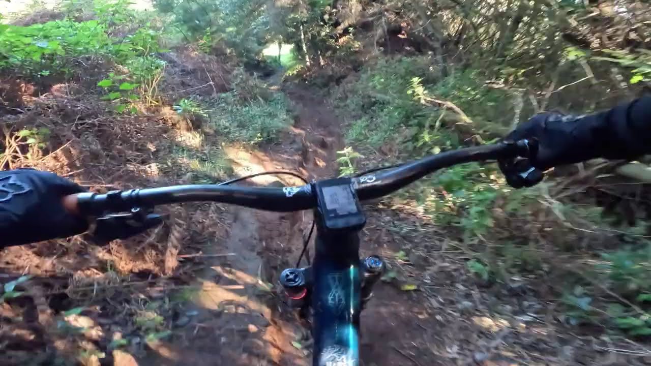 La Palma - LP 4