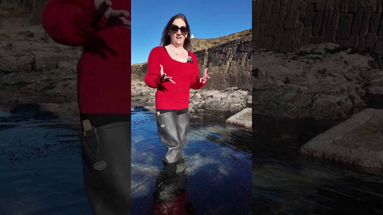 Le Chameau Ocean Waders | What Do They Feel Like?!