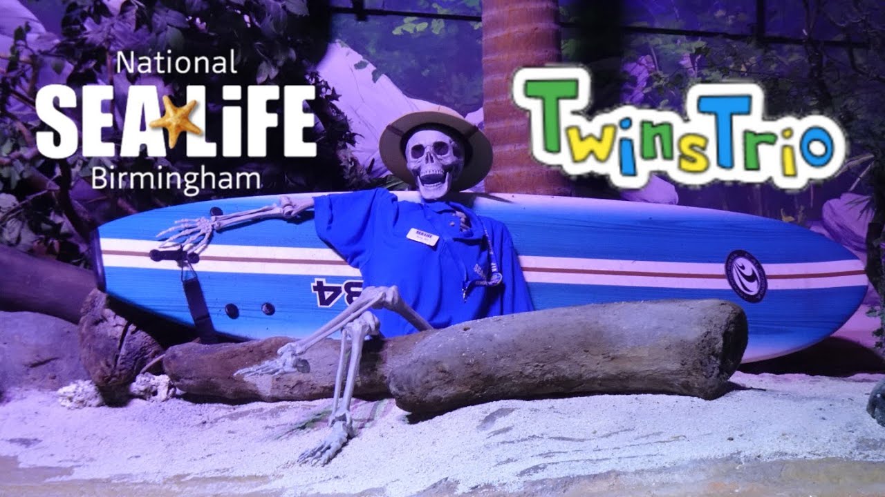 National Sea Life Centre Birmingham - Ascarium - 10/10/2021