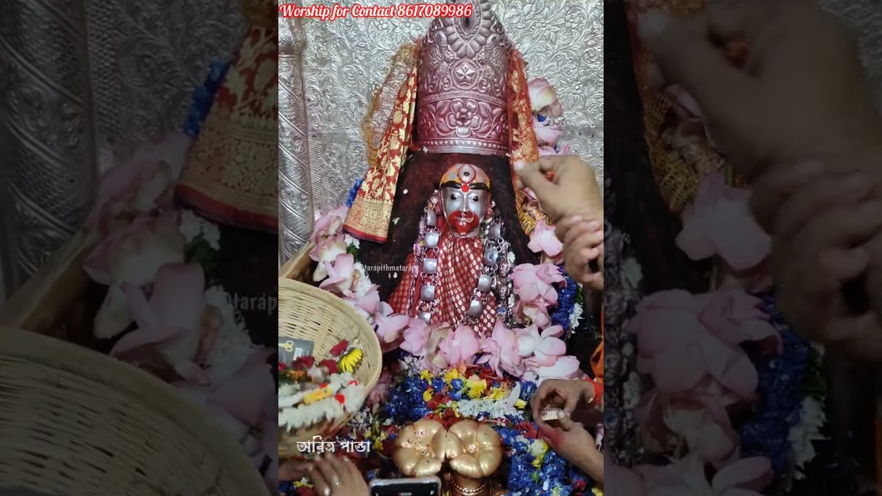 Tarapith Puja Darsan 🌺 ll @Tarapithmatara Aritra Panda || #TarapithLive