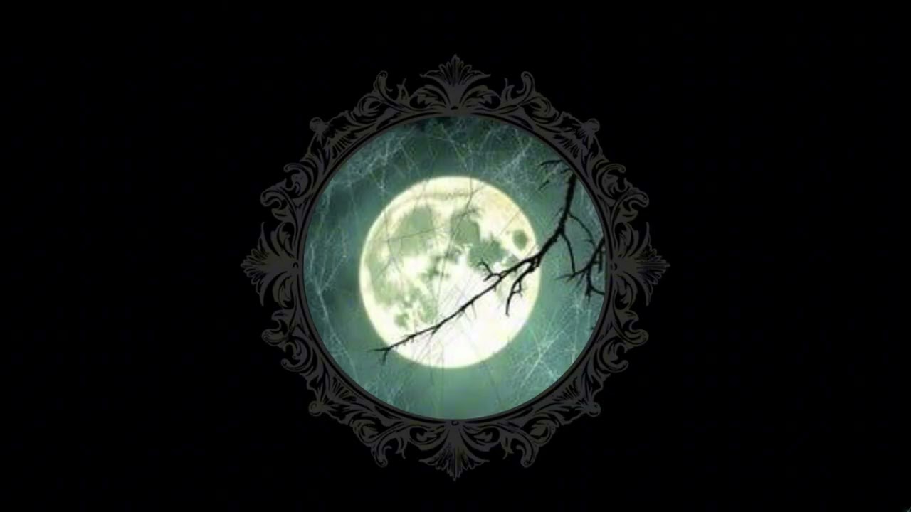 Echoes of the Black Grove | Dark Occult Witch Cello & Forest Ritual Ambient