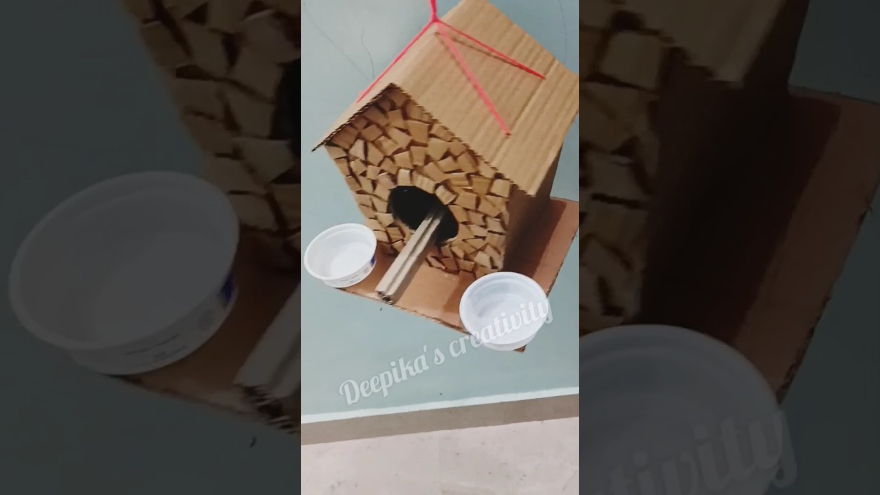#howtomake #bird_house #birdsfeeder #craftideas #diy #shorts #ytshortsviral