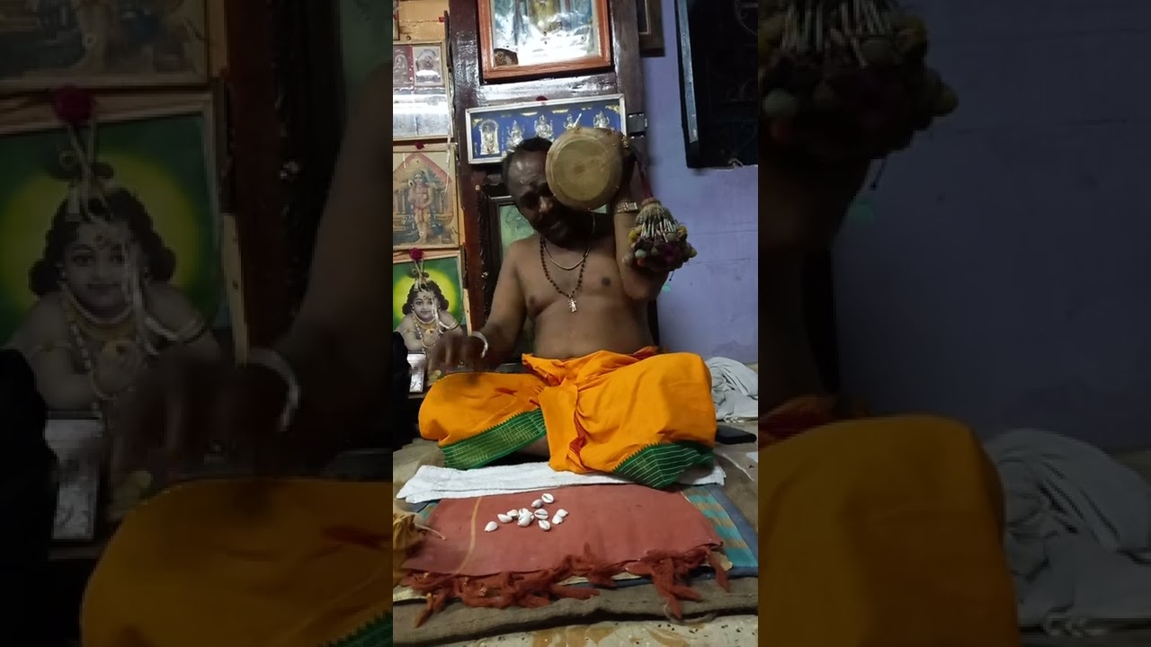 தெற்கு தெரு பங்காளிகள் பூஜையில் சுவாமி மந்தையில் கருப்புலி
