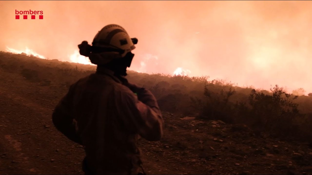 Incendi forestal a Roses (Alt Empordà) - 22 i 23 de febrer de 2022
