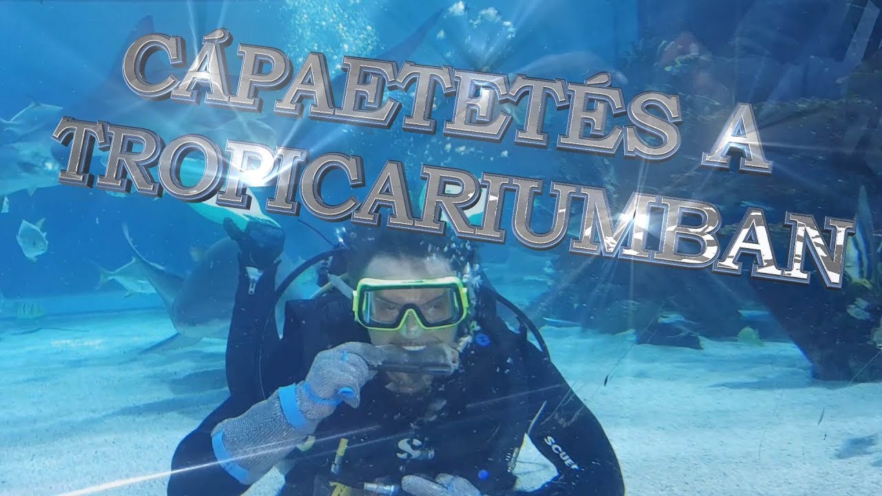 Cápaetetés Tropicarium Budapest