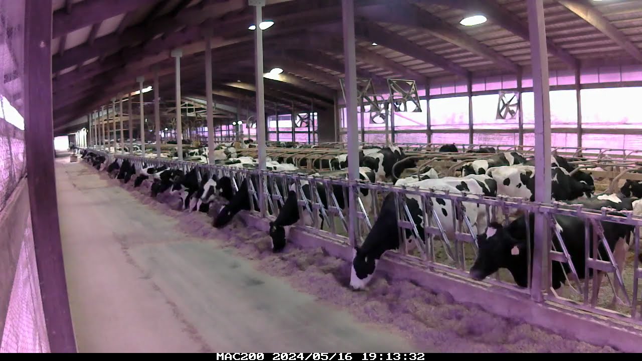 Lely Juno Flex automatic feed pusher time-lapse