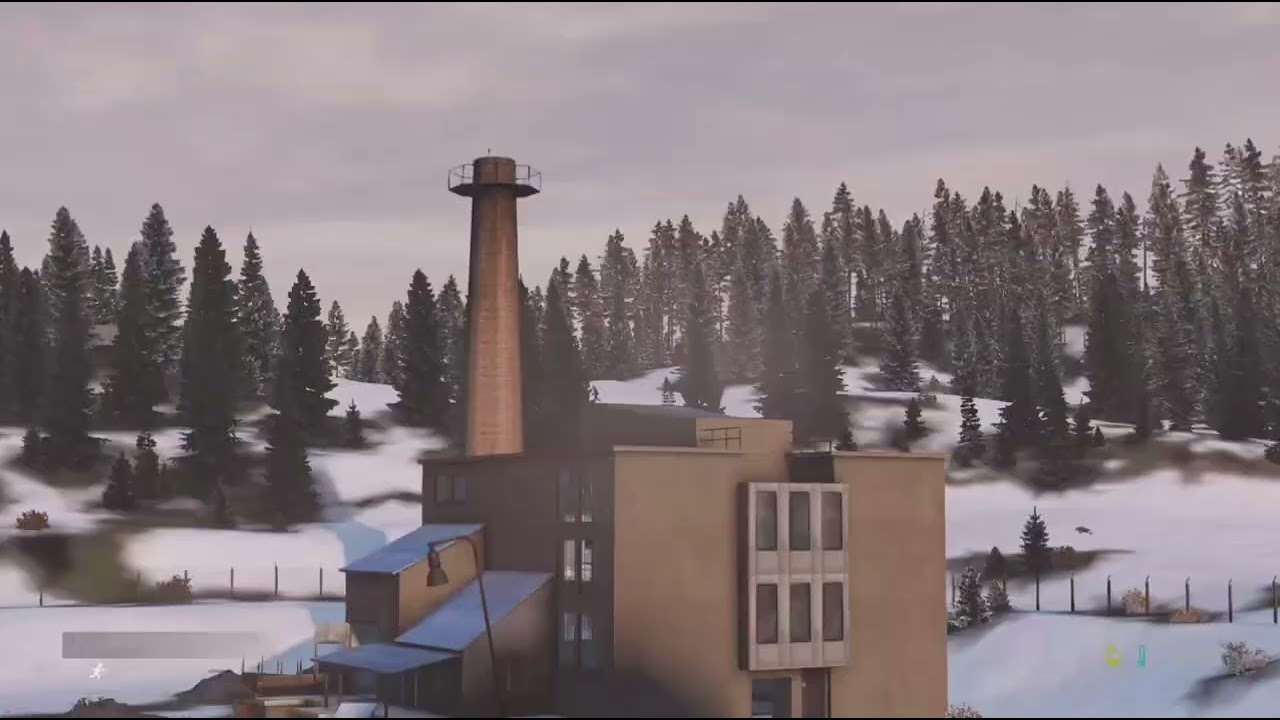 Szybko poszło dayZPL