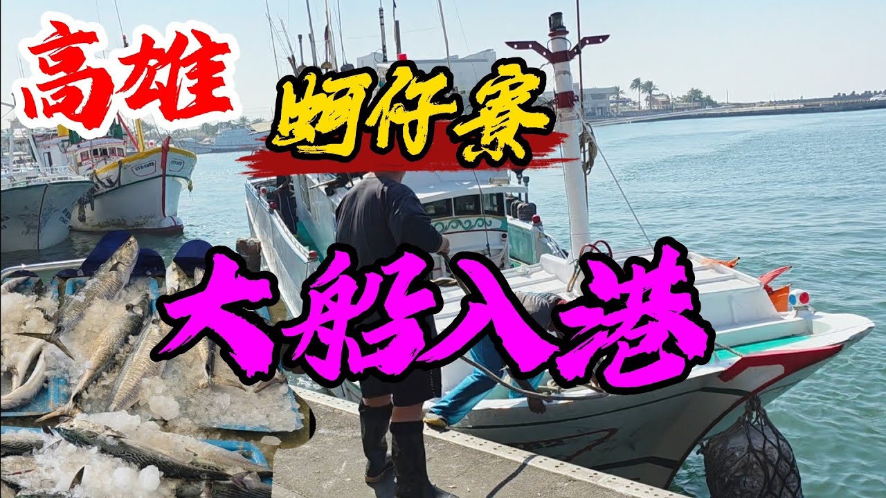 〔高雄蚵仔寮漁港大船入港〕強仔來看看，蚵仔寮漁港一早就出去放網，你說鮮魚賣的很貴？那要不要來看看一個早上捕了多少的魚啊？你也要一起等著大船入港嗎？土魠魚、白帶魚、盤仔、花枝、黑加網、帕頭仔