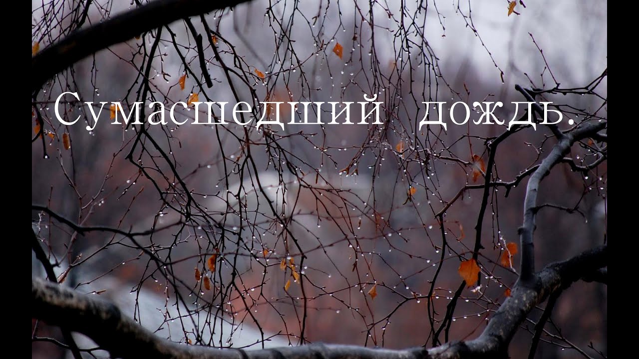 АХ ,ЭТОТ СУМАСШЕДШИЙ ДОЖДЬ .