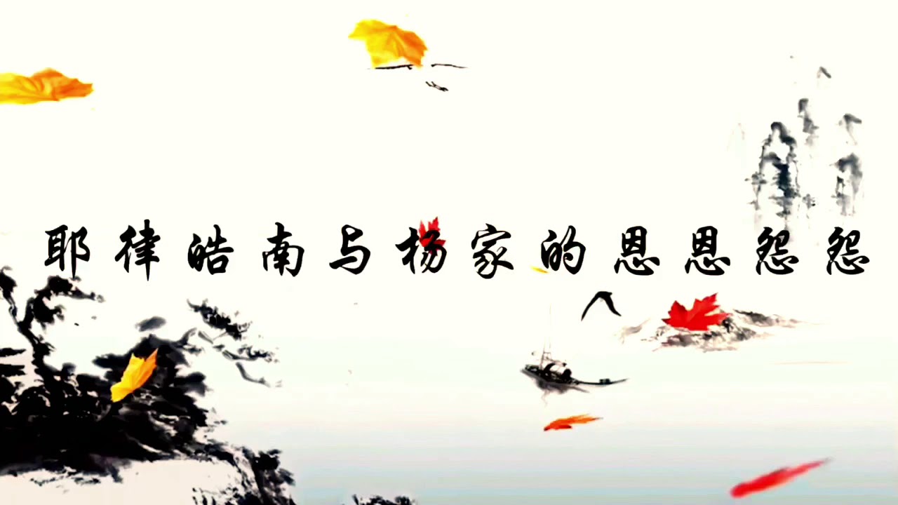 耶律皓南與楊家將恩怨情仇