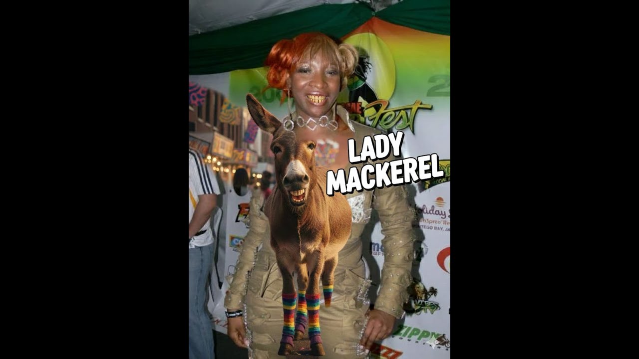 Criticism Comes With the Career: Speaking on Lady Mackerel’s Responses
