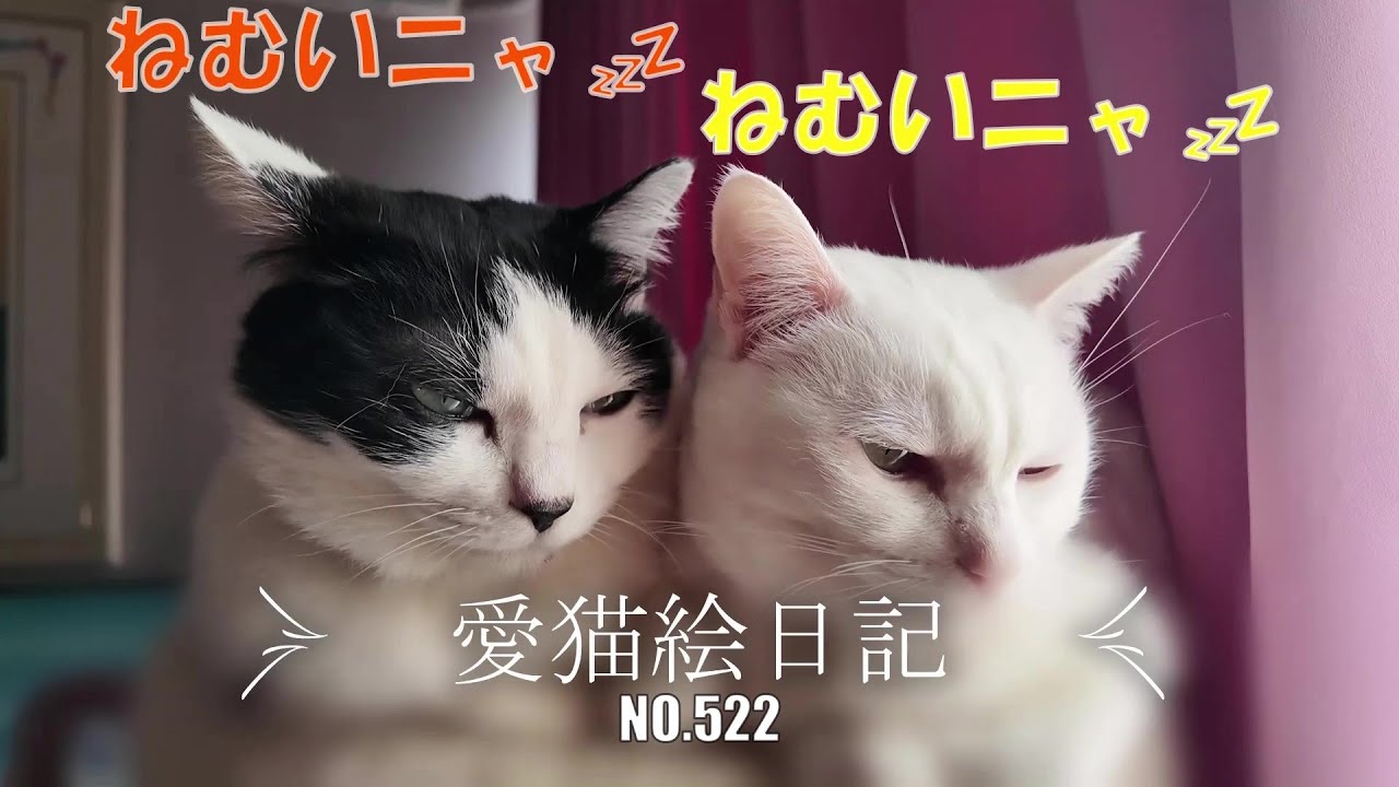 【愛猫絵日記-522】そこで寝れるの⁉