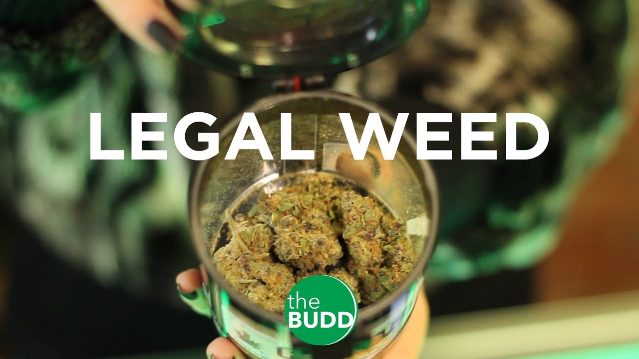 Wolfiememes Sells Legal Weed