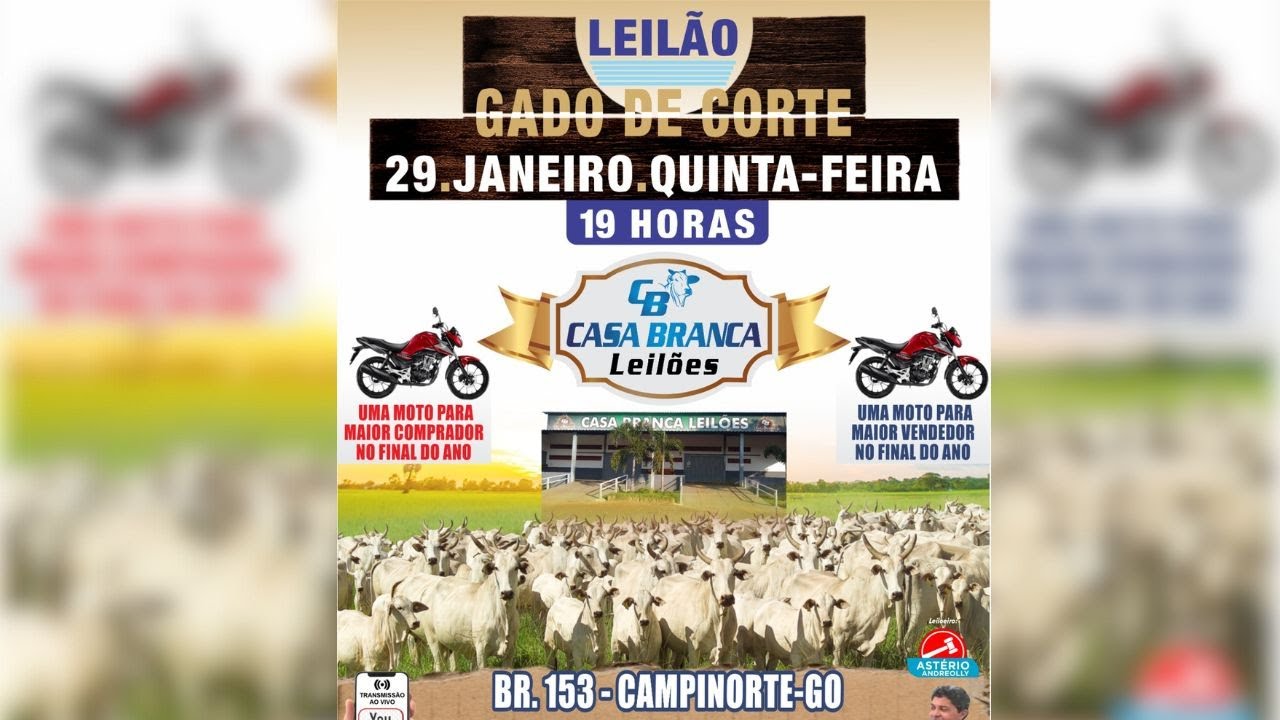 CASA BRANCA LEILÕES  -  CAMPINORTE - GO 29/01/2026
