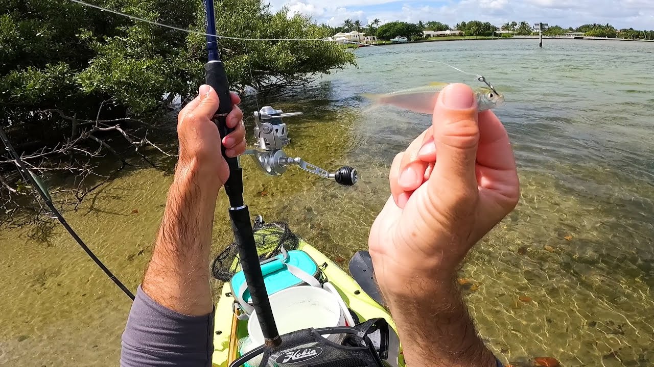 Like Fish Candy - Found An Island Loaded With Fish And Bait!!!