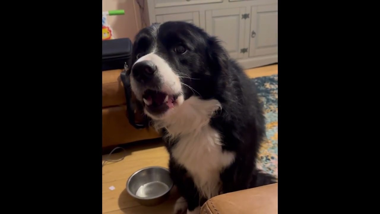 Treats