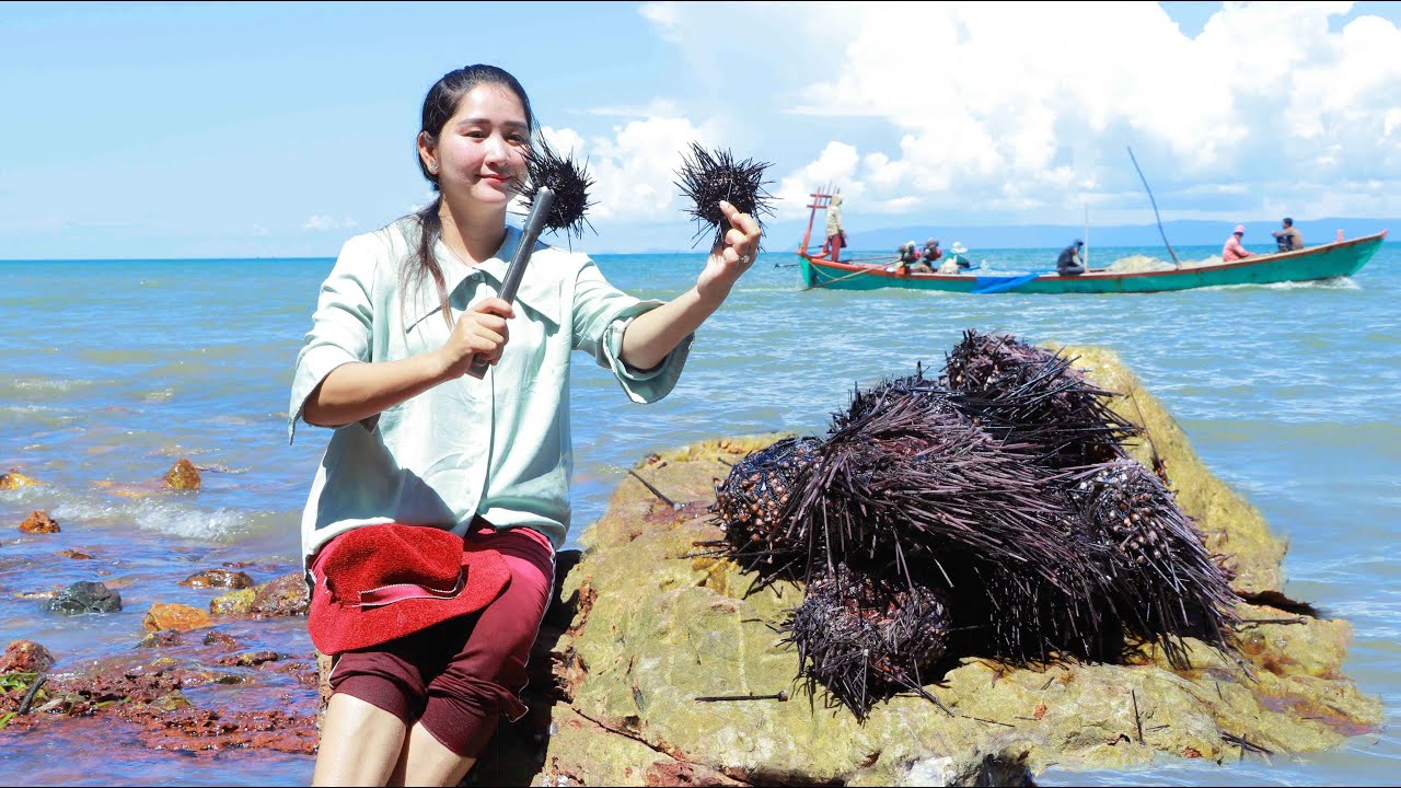 Found Sea Food And Sea Urchins For Cooking