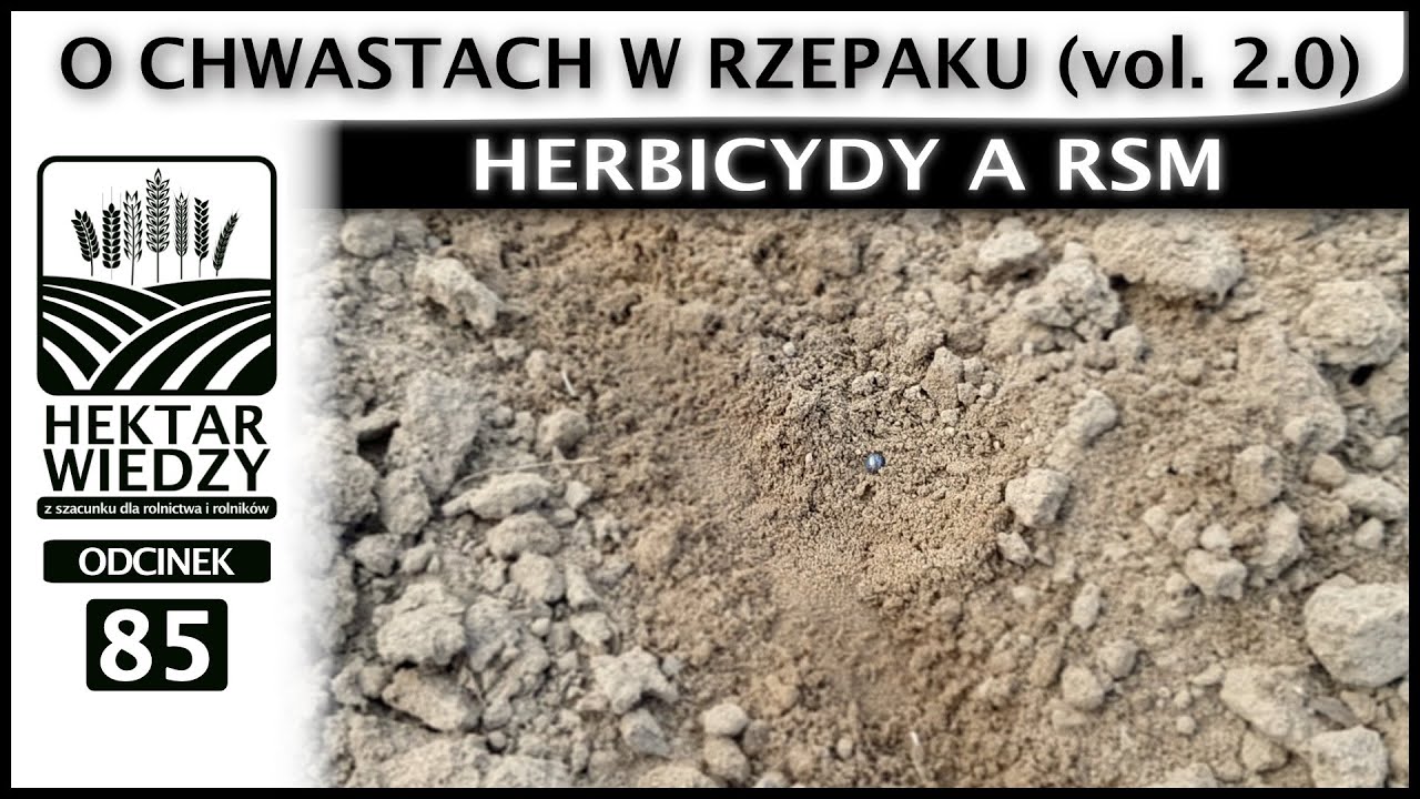 HERBICYDY A RSM, CZYLI O CHWASTACH W RZEPAKU. (vol. 2.0) | ODCINEK #85