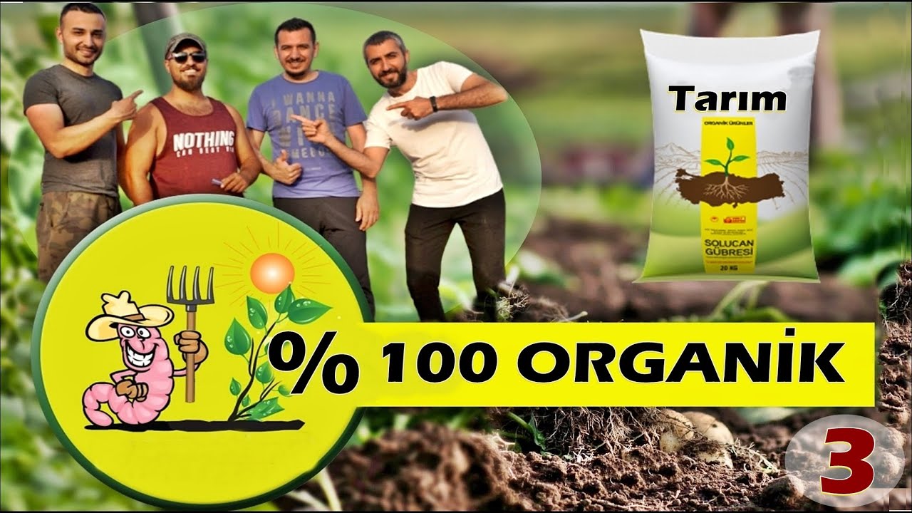 Organik Tarımda yüksek verim ve Solucan Gübresi