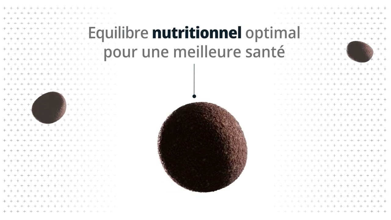 Croquettes pour petits chiens Virbac - Nouveau look pour la gamme VETERINARY HPM