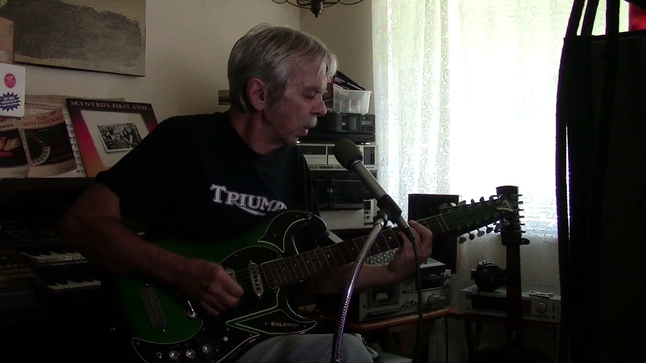 Don't Let Me Be Misunderstood  The Animals  cover