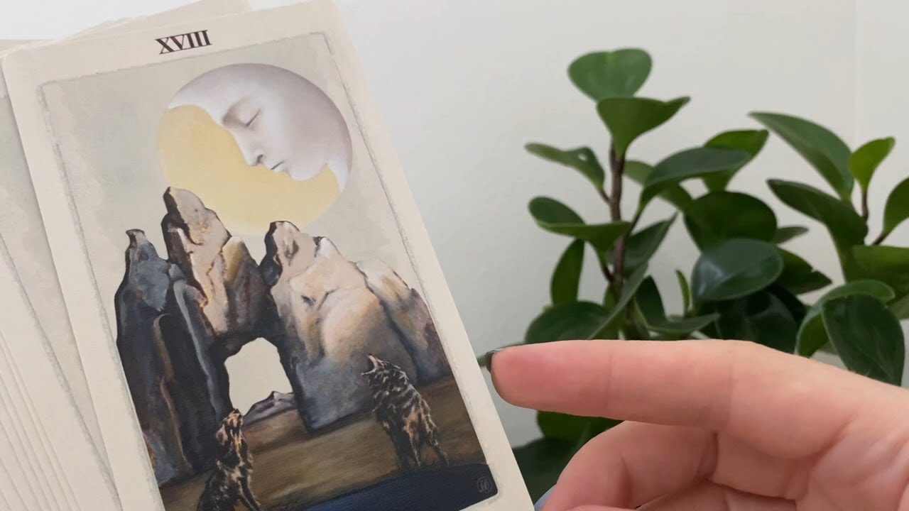 ASMR Updated Tarot Deck Collection 🌙