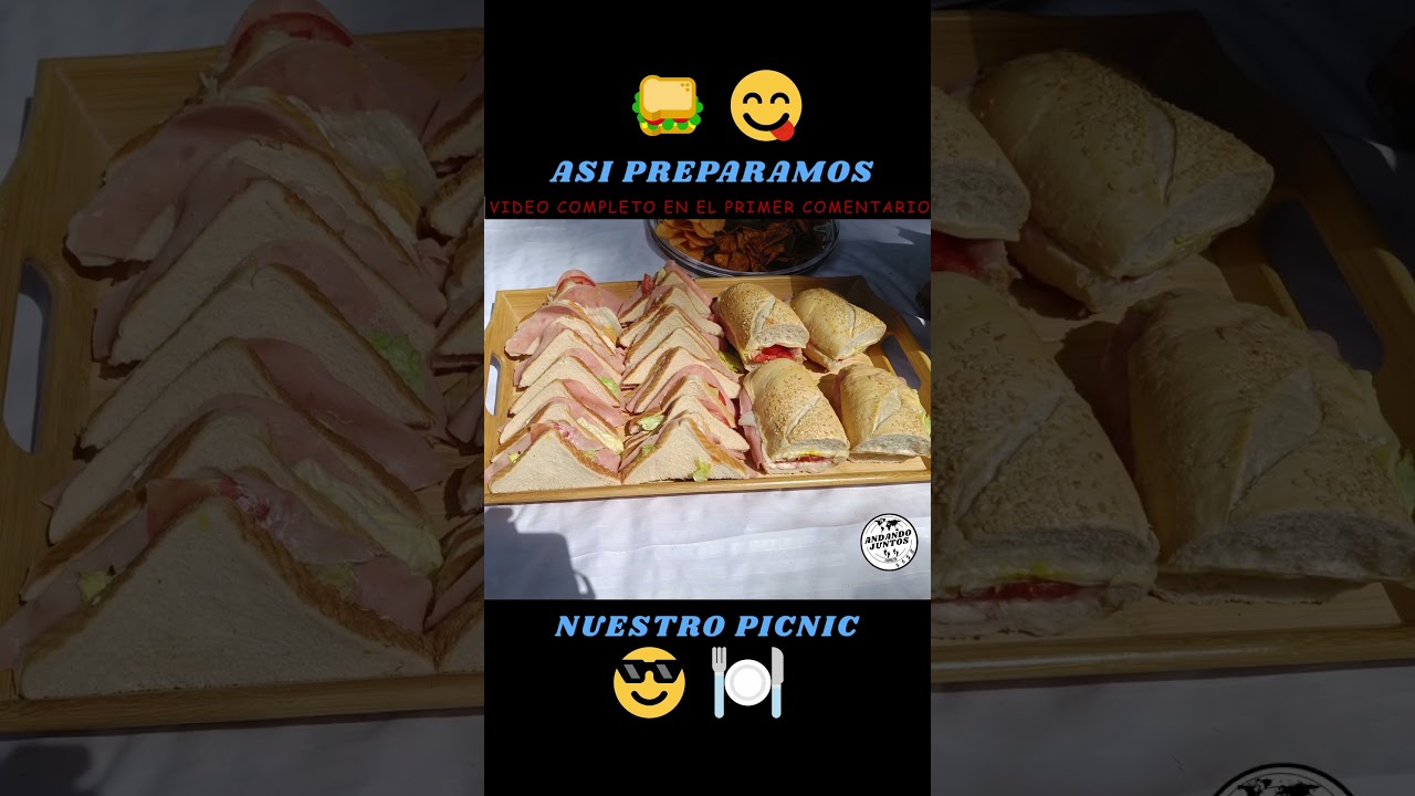 C&oacute;mo hacer un picnic y no morir en el intento