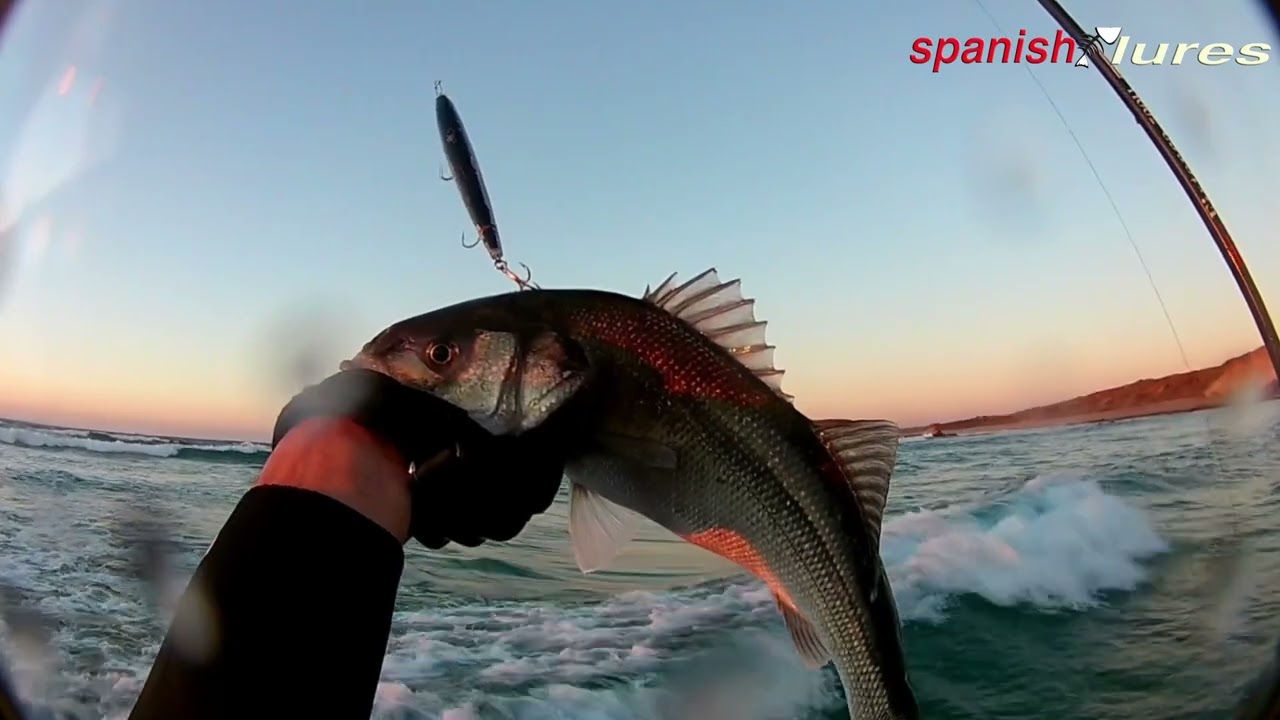 Robalos spinning 🎣Vila Nova de Milfontes 🇵🇹Spanish Lures 🐟🌊🏖
