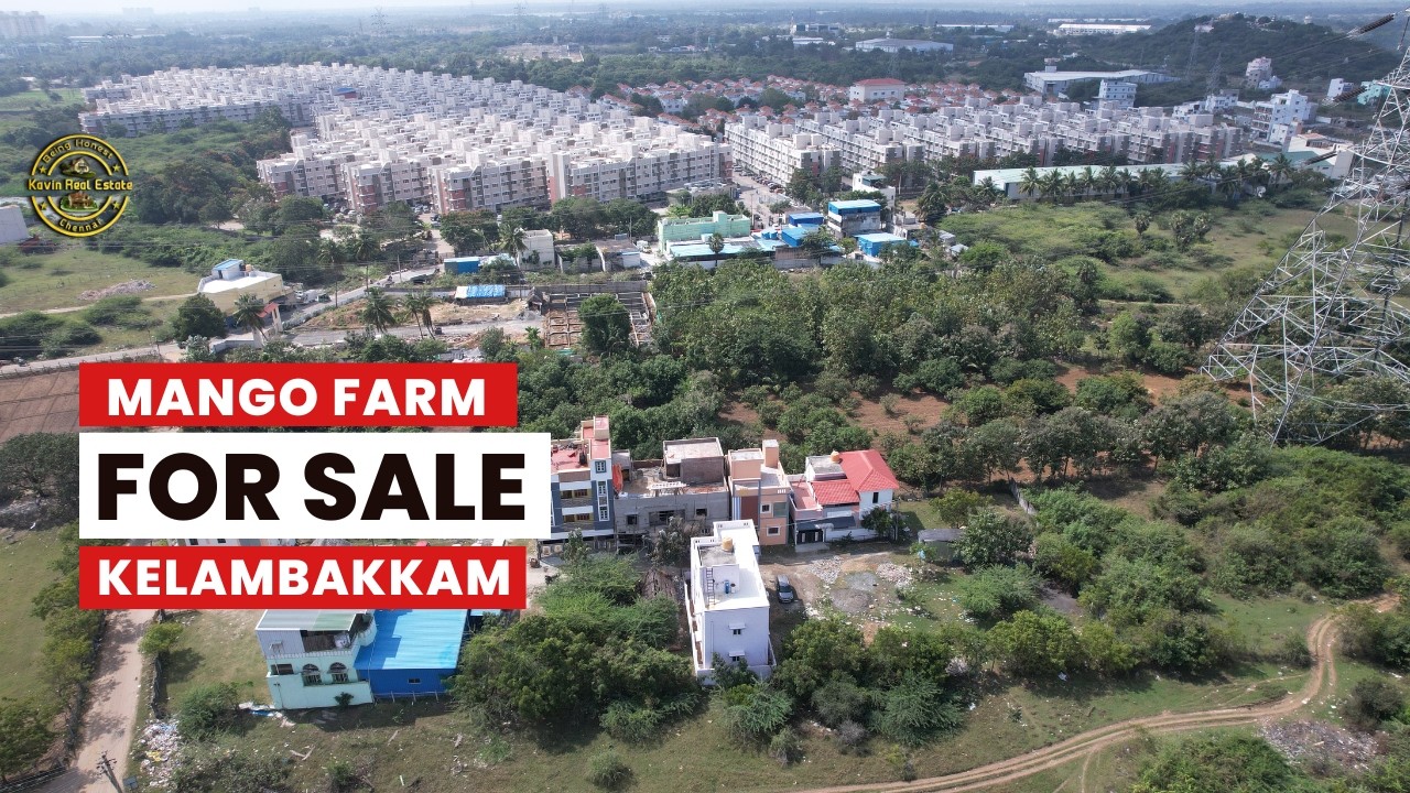 ID 2573 - Mango Farm For Sale in Kelambakkam || Well ||150 Trees ||200 Ft Frontage ||