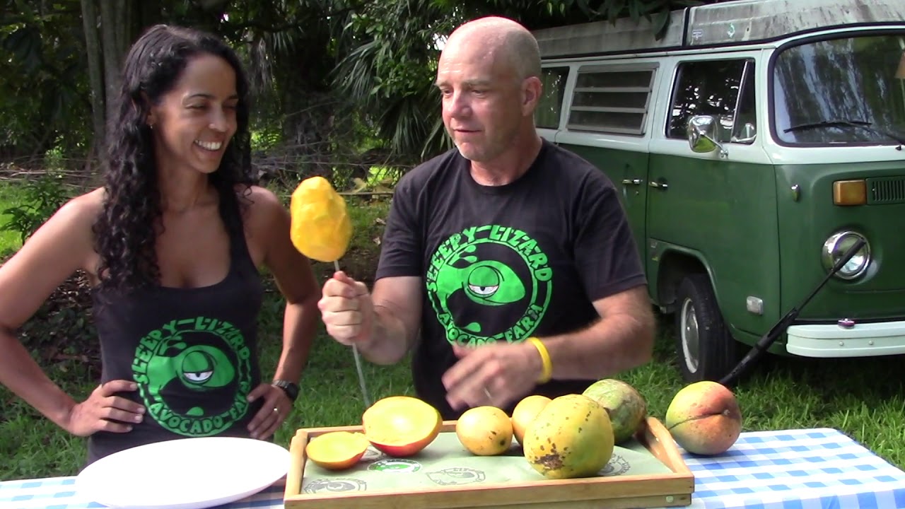 Delicious Mango Recipe