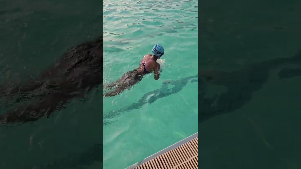 20260201 200IM