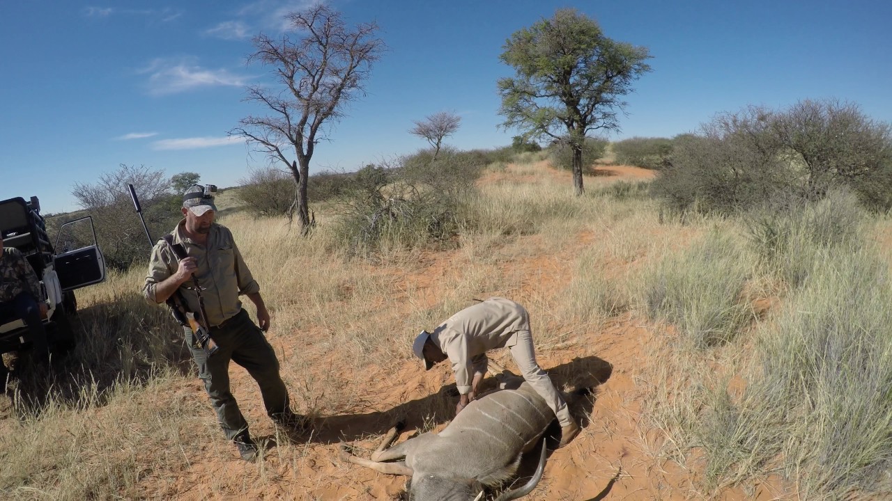 STS Kalahari Hunt 2017 4K