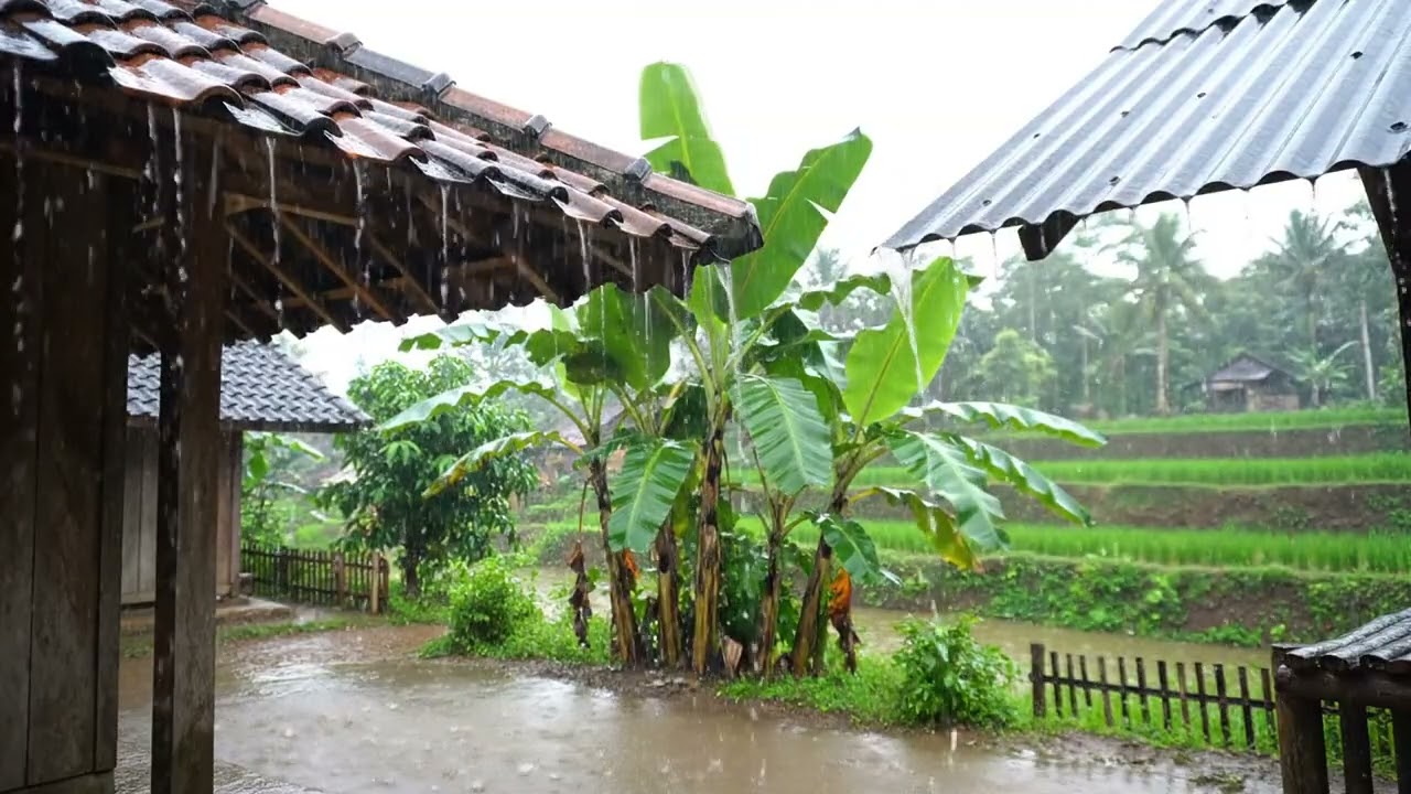 Instant Deep Sleep – Loud Thunderstorm in Quiet Village