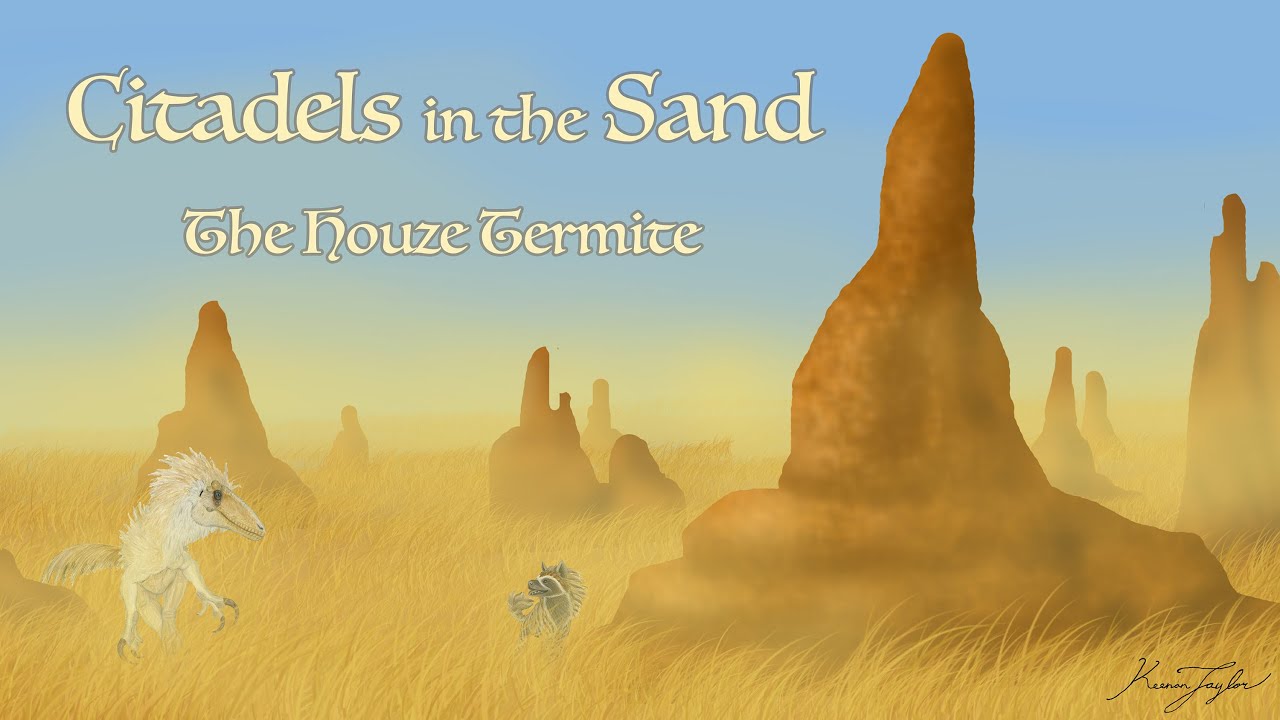 Citadels in the Sand: The Houze Termite