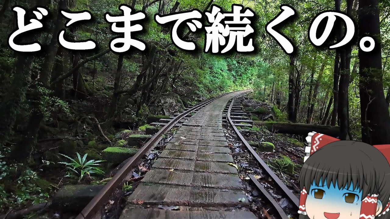【ぷらっと観光】22㌔散歩しながら縄文杉を見に行く&hellip;。「縄文杉」【ゆっくりトラベル】屋久島