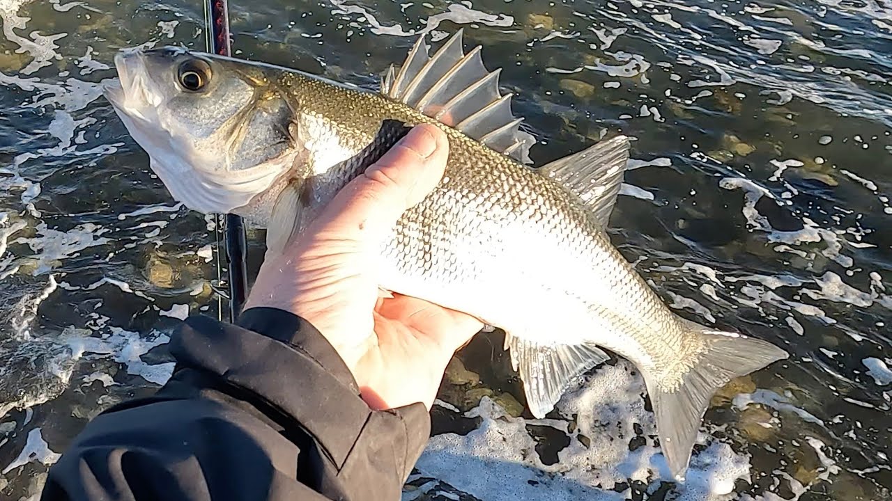 Rock hopping for Bass ! 