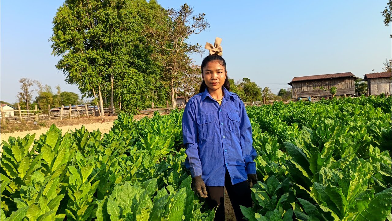 7 กุมภาพันธ์ ค.ศ. 2026ມື້ມີ້ຂ້ອຍໄດ້ມາຊວນຢາ.​ນາງ.​ເດືອນ